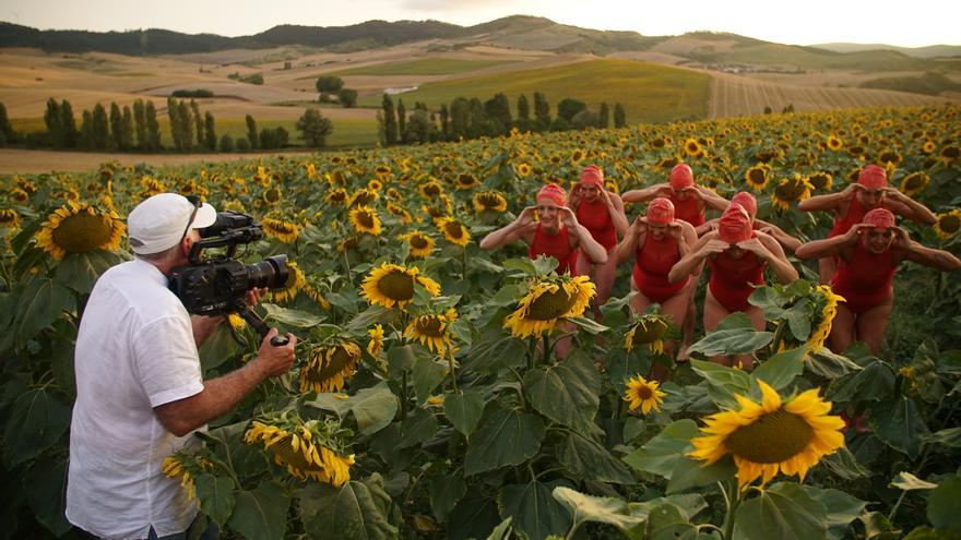 Qué hacer y qué ver en Navarra y en Pamplona. Agenda cultural
