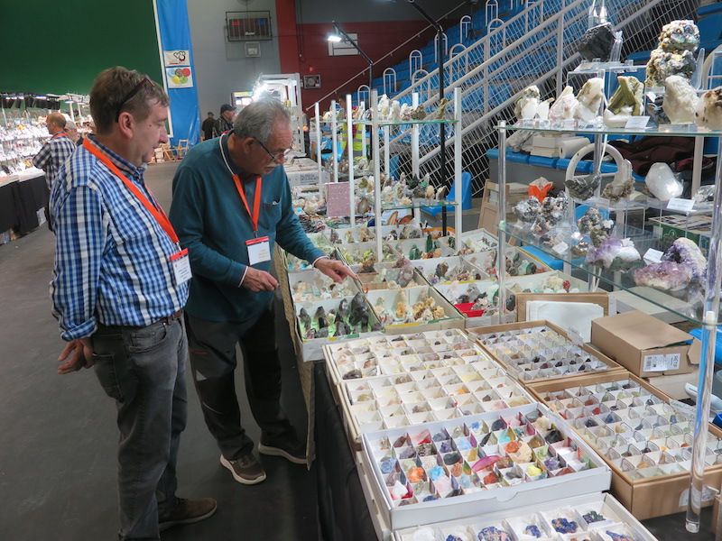 Los minerales, los fósiles y los dinosaurios toman Urretxu