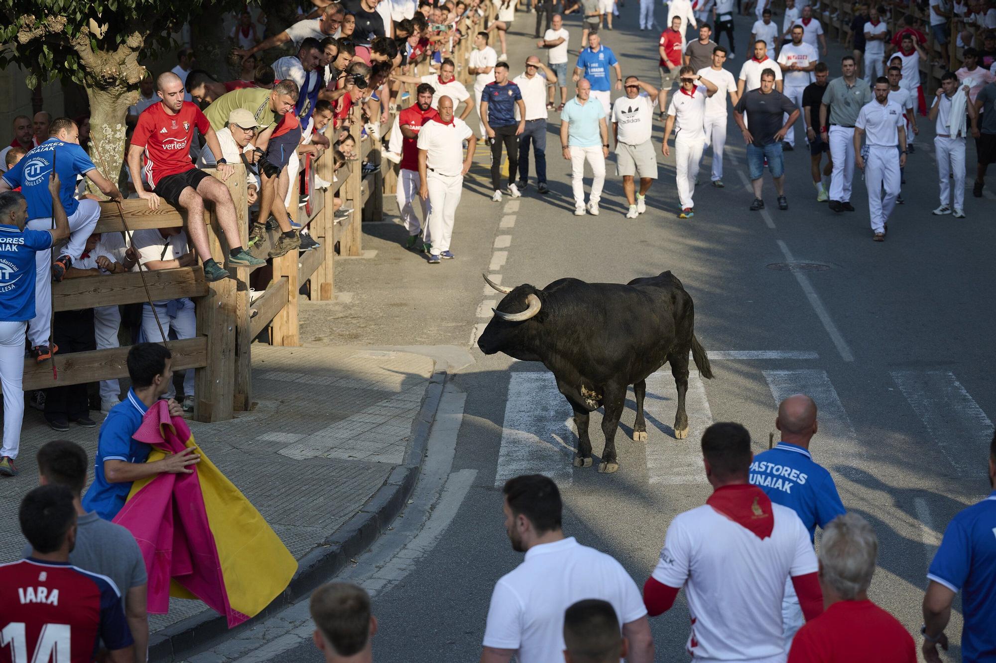 Fotos del primer encierro de fiestas de Tafalla