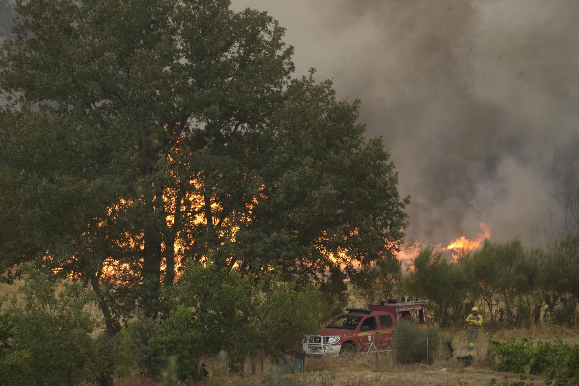 Semana negra de incendios: Cuatro muertos y 120.000 hectáreas quemadas