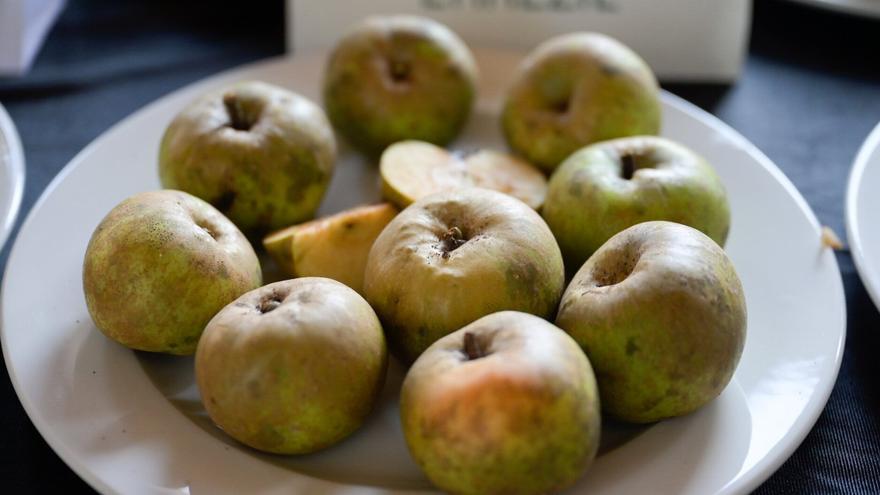 Arrasate: feria con sabor a manzana en la plaza Seber Altube