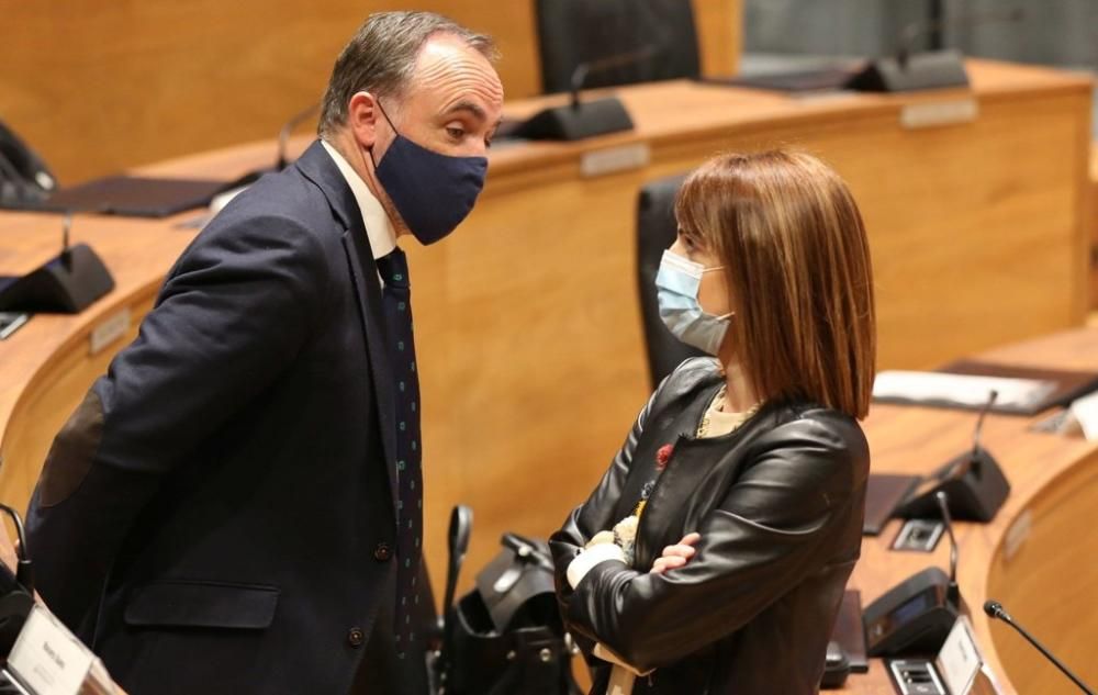 Pleno del Parlamento de Navarra (22-04-2021)
