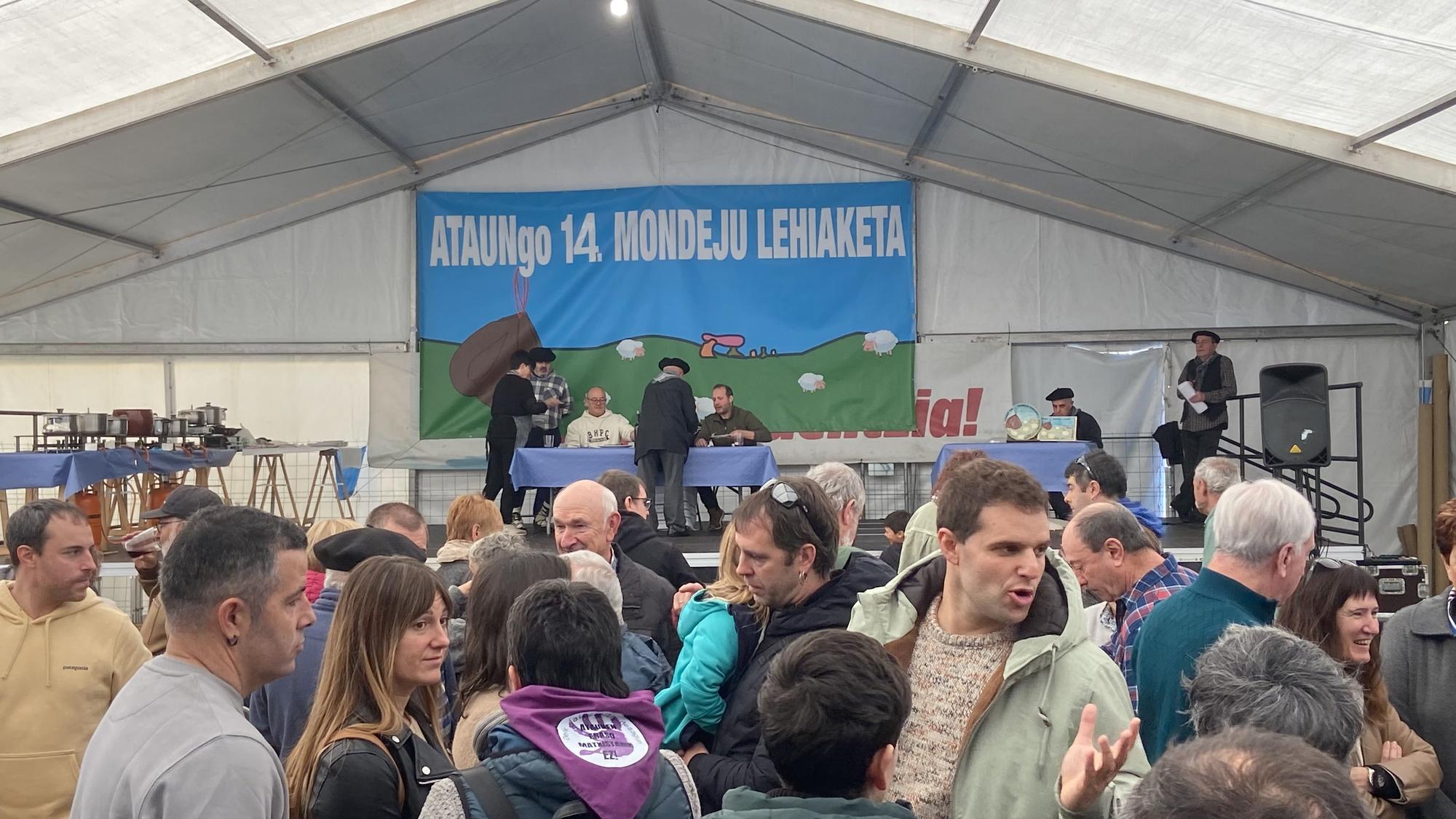 Ataungo XIV. Mondeju Lehiaketa, iruditan