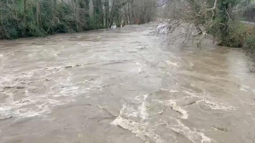 Río Oria a su paso por Zubieta