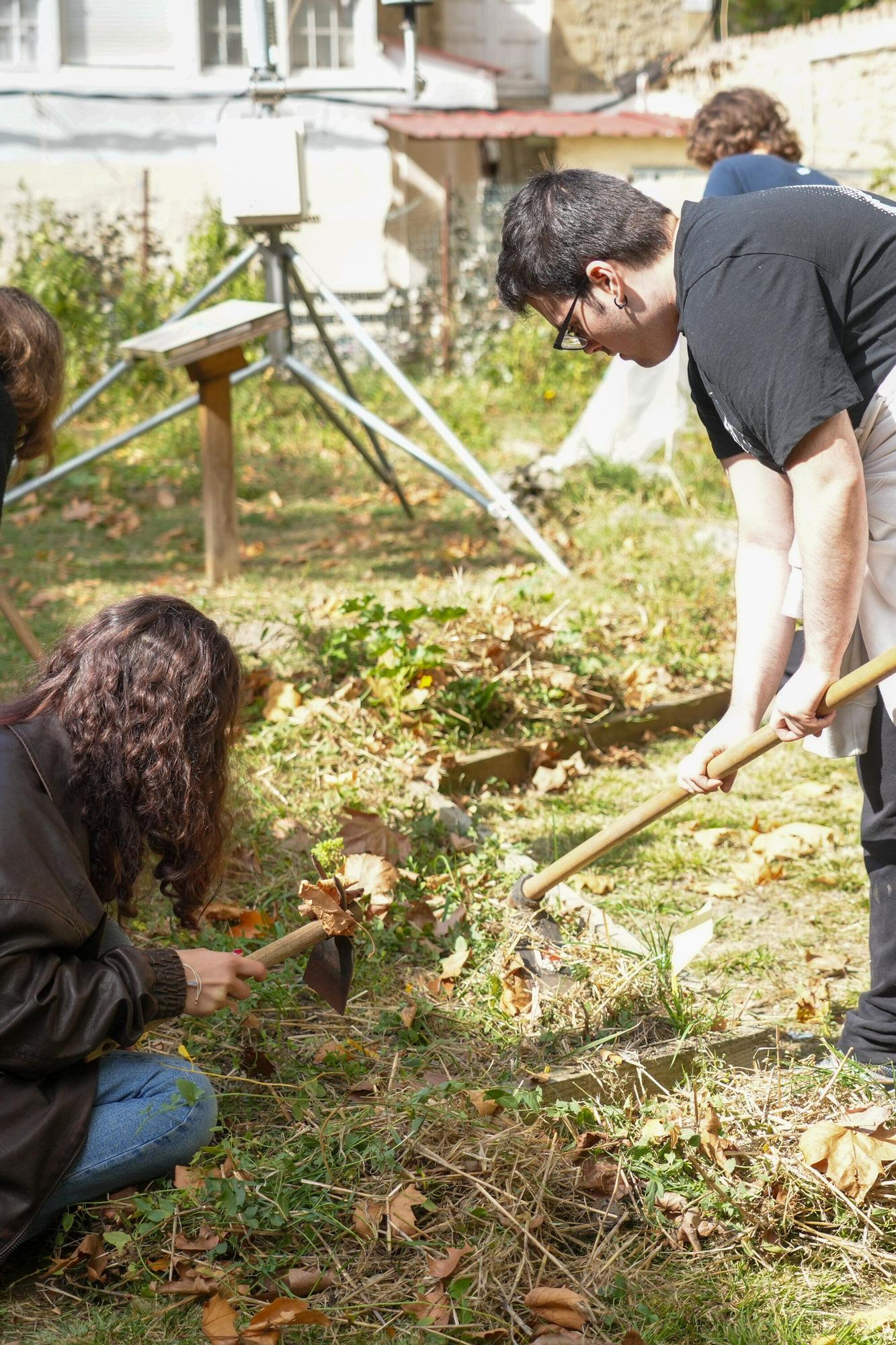 En imágenes: La UPV/EHU impulsa un curso de agricultura ecológica en el Campus de Álava