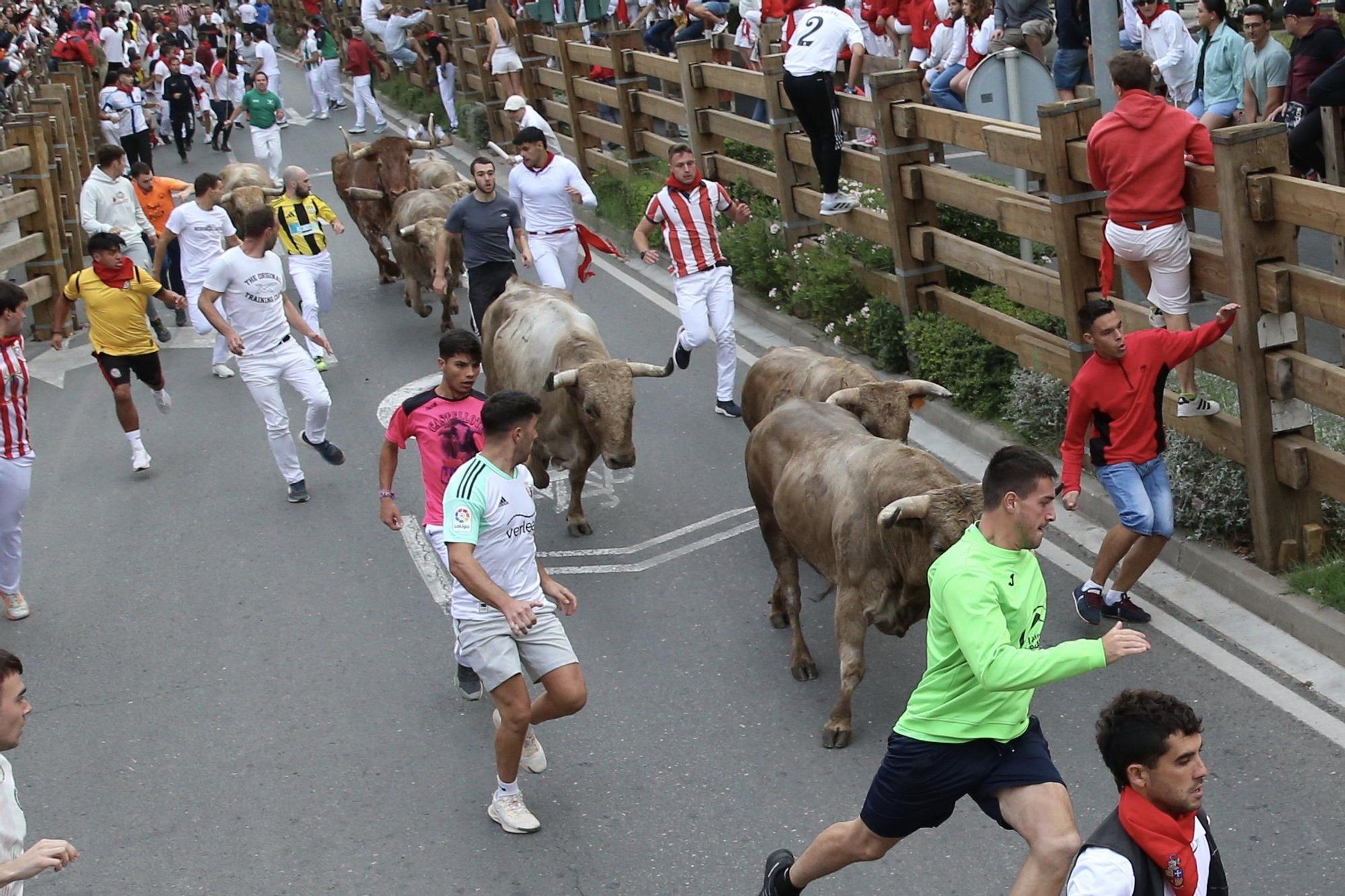 Fotos del sexto y último encierro de las fiestas de Tudela 2025