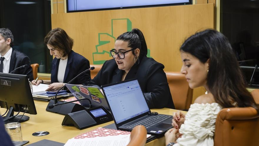 El Consejo Vasco de Juventud llama a no dejarse llevar por "malas prácticas aisladas" al regular actividades para menores