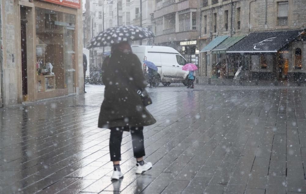 Nieva en Vitoria