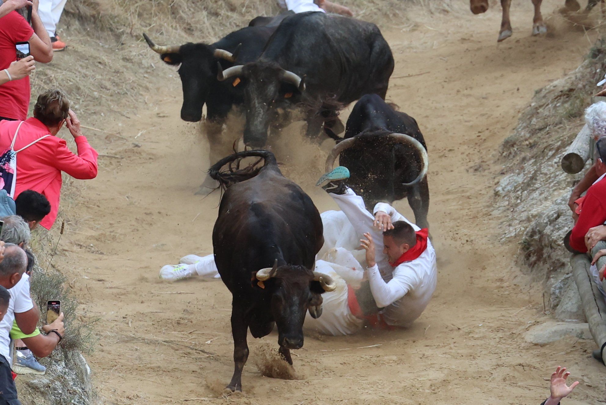 Fotos del tercer encierro del Pilón de Falces 2025