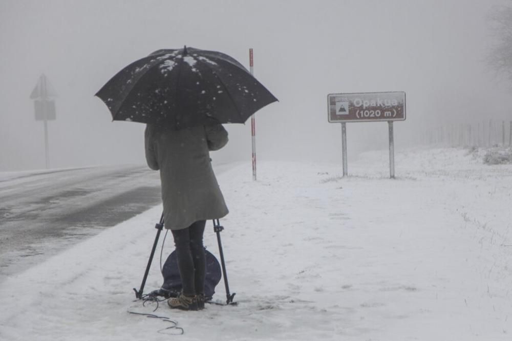 Nieve en Álava