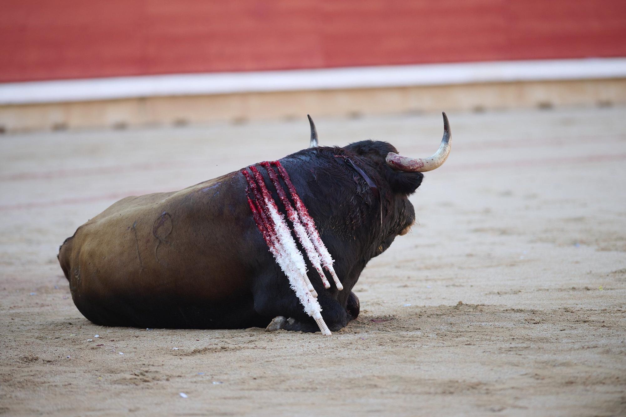 Fotos de la corrida de toros del día 9.
