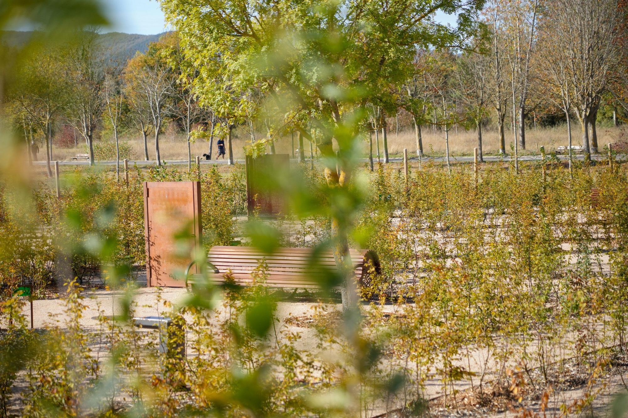 En imágenes: Inauguración del nuevo laberinto vegetal de Olarizu