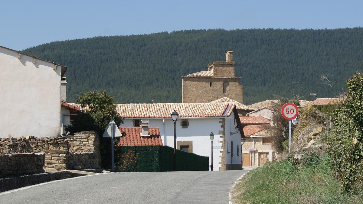 Vista del municipio de Leache.