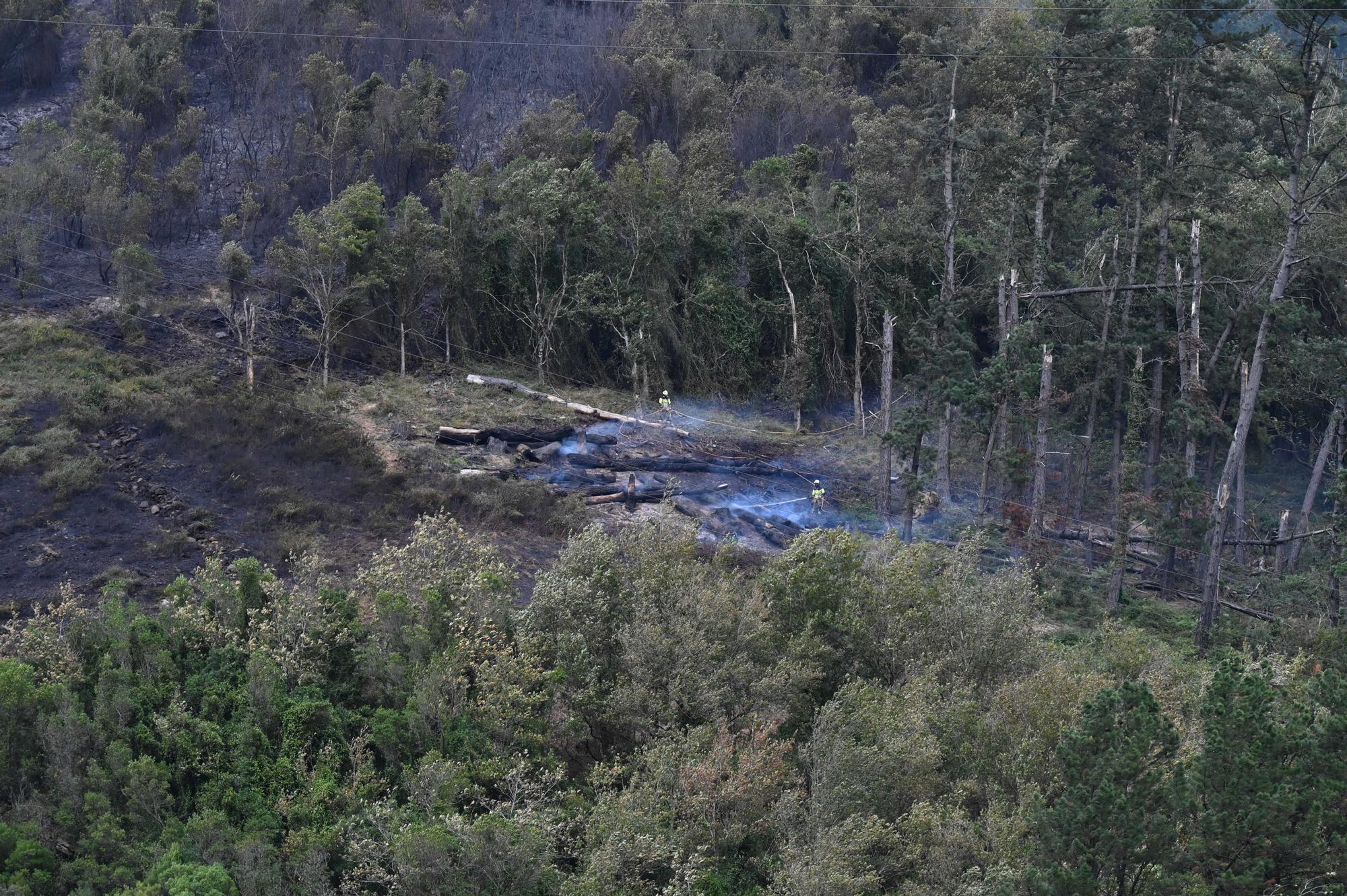 Incendio forestal en Güeñes