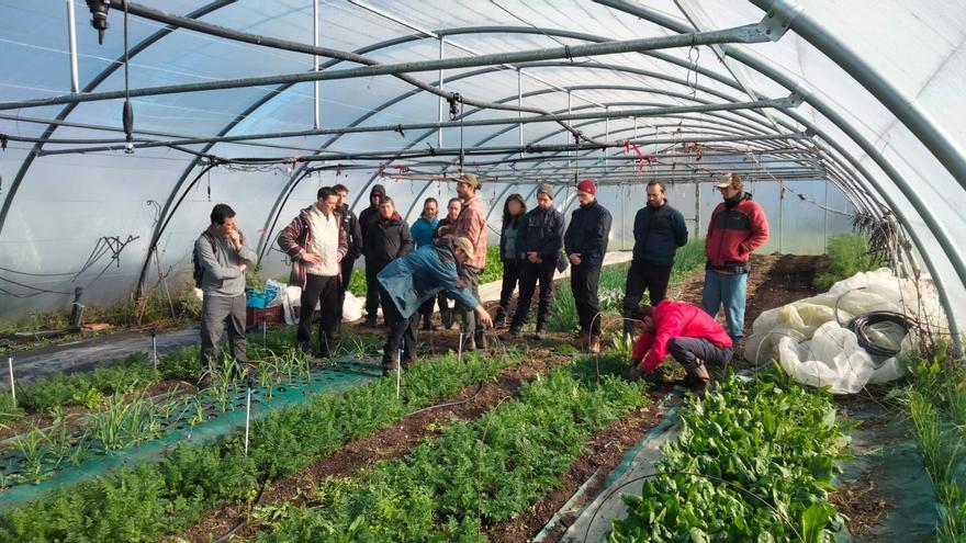 Vitoria lanza Aleko Market, una 'tienda online' para comprar productos ecológicos de Álava