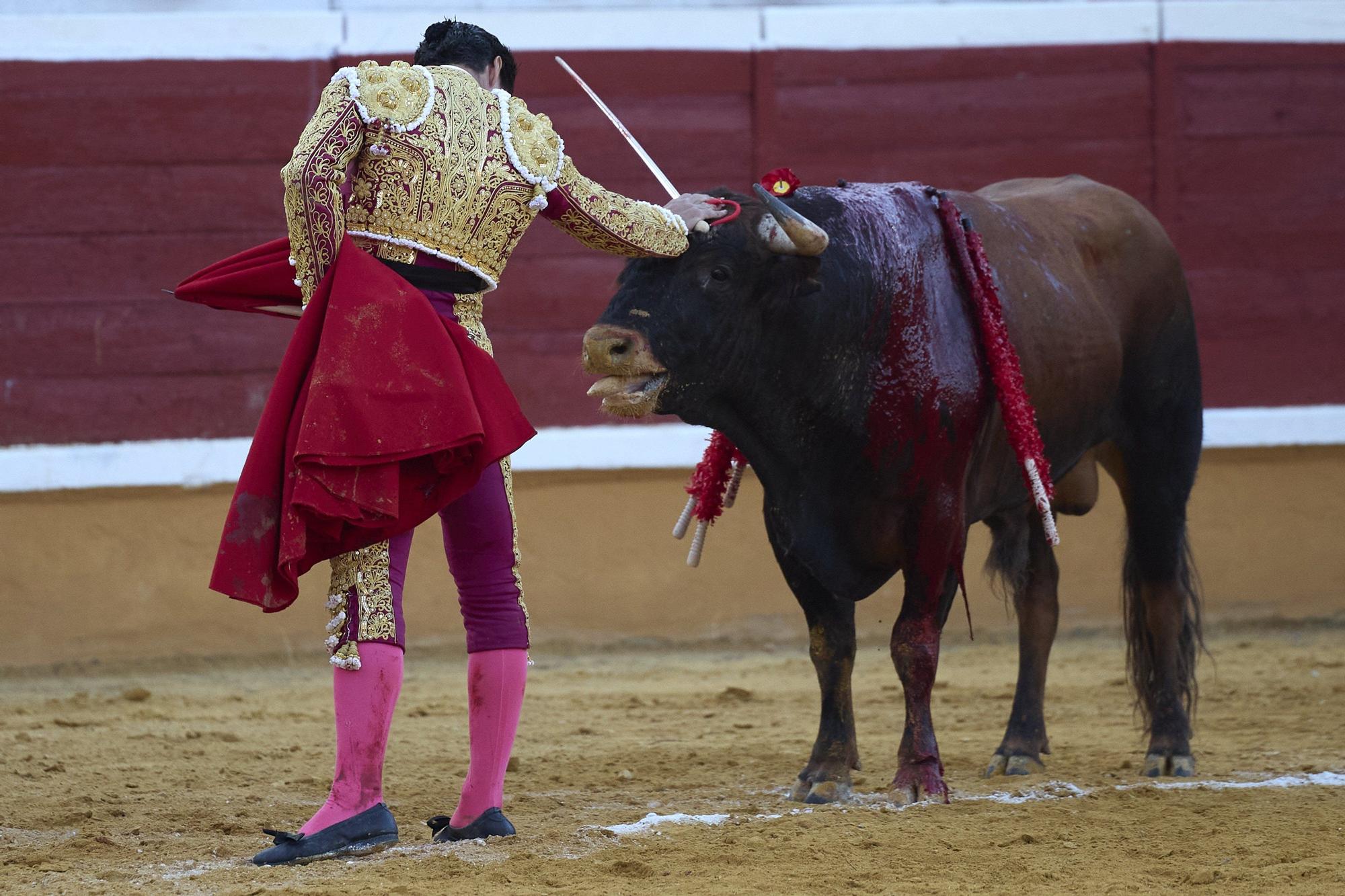 Fotos de la corrida de toros en Tudela con toros de Garzón Valdenebro