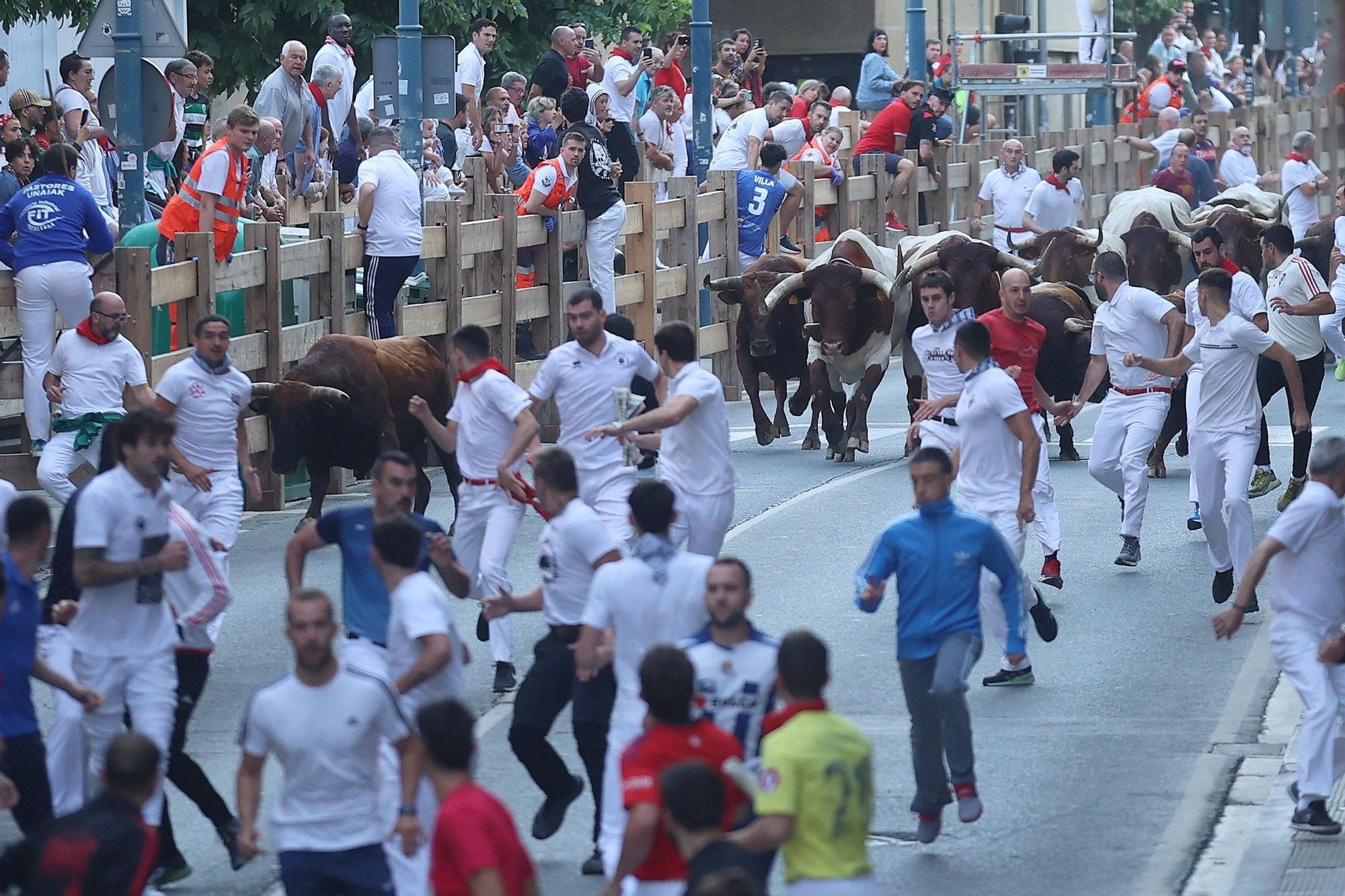 Fotos del quinto encierro de las fiestas de Tafalla 2025