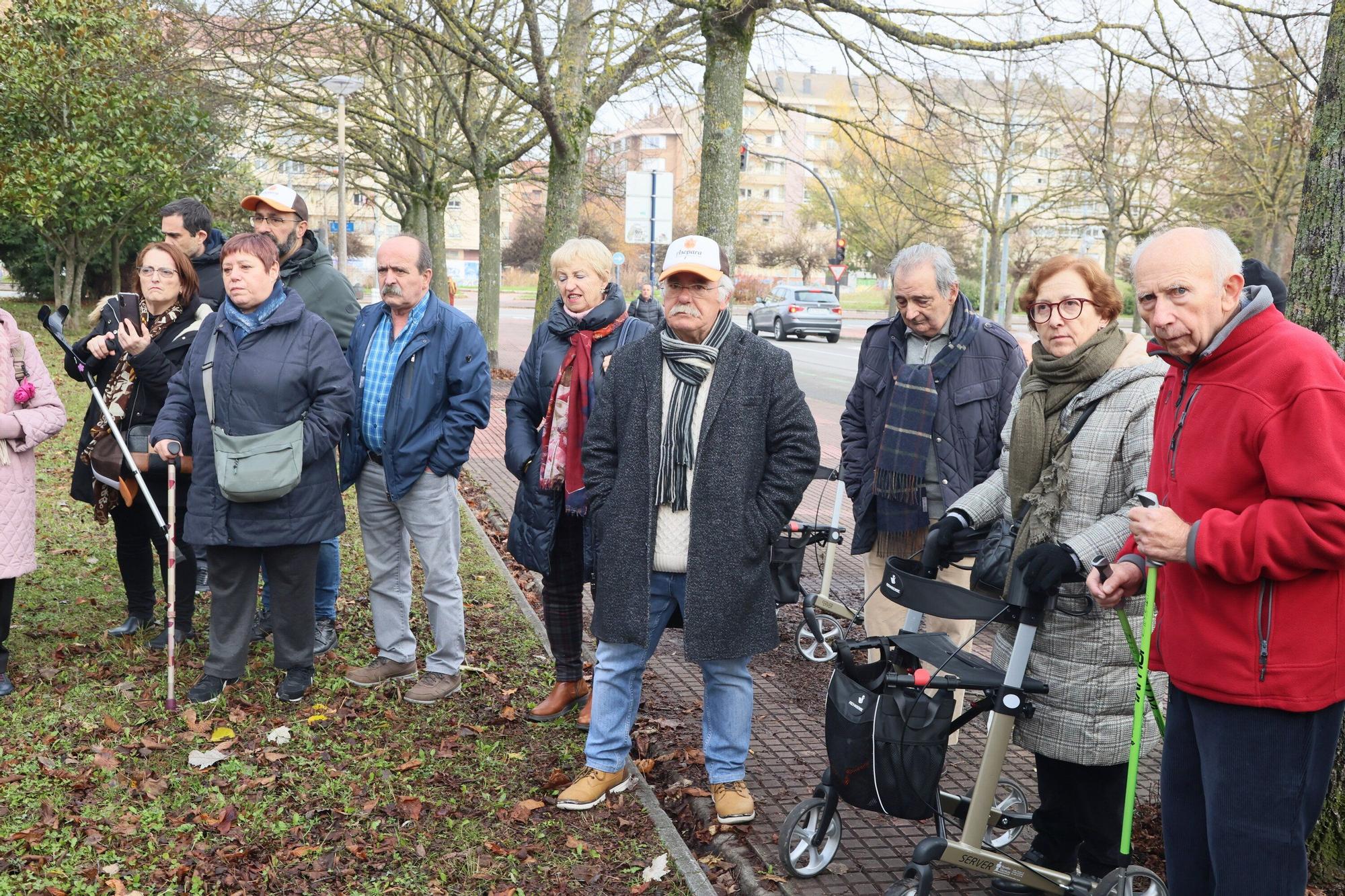 En imágenes: Un árbol para 25 años de lucha contra el párkinson en Vitoria