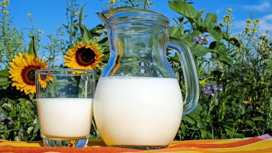 Consultorio de nutrición | ¿Qué es más saludable, tomar bebidas vegetales o leche animal?