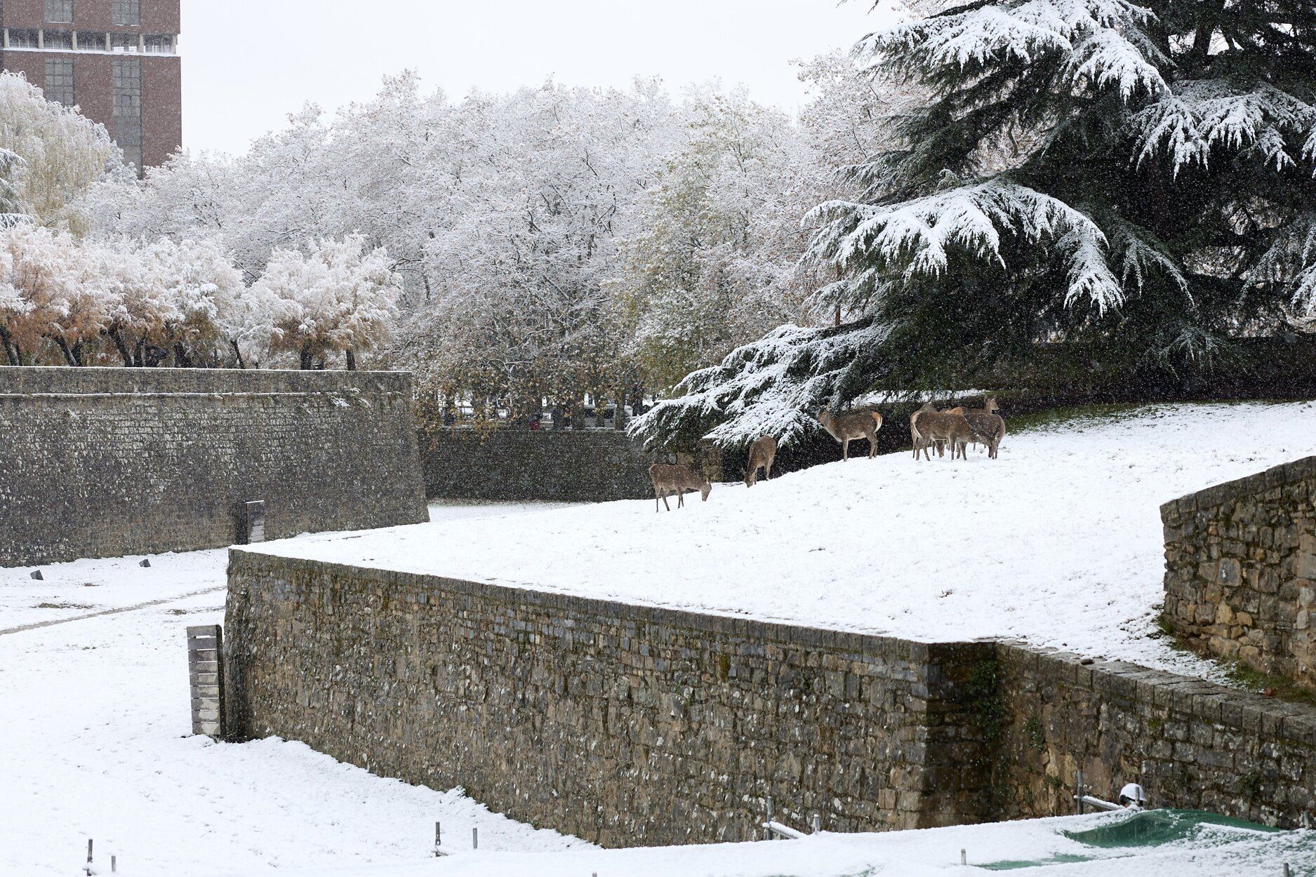 Nieve en Navarra.