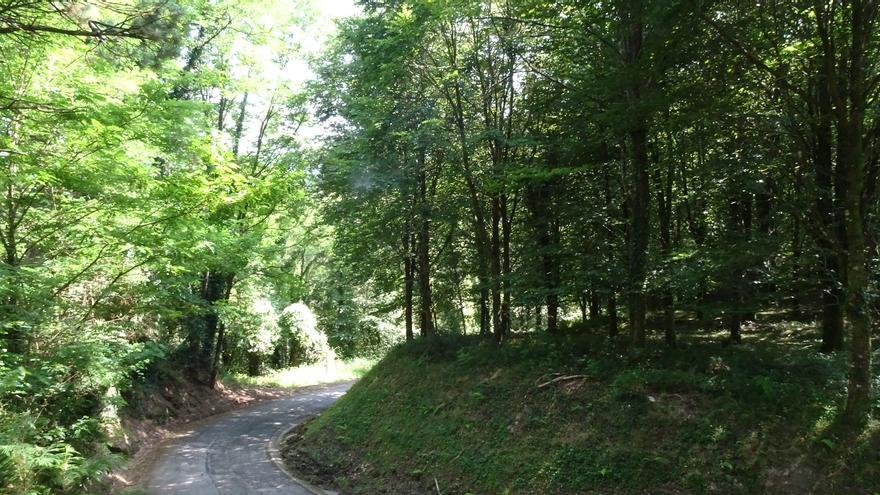 El truco para no perderte en una ruta de monte, según el influencer Guk Green