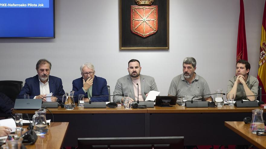 NAPIKE demanda en el Parlamento Foral apoyo para impulsar los valores culturales y educativos de la pelota vasca