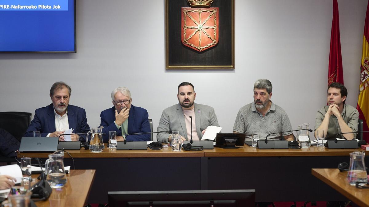 Miembros de NAPIKE, durante su comparencia en el Parlamento de Navarra.