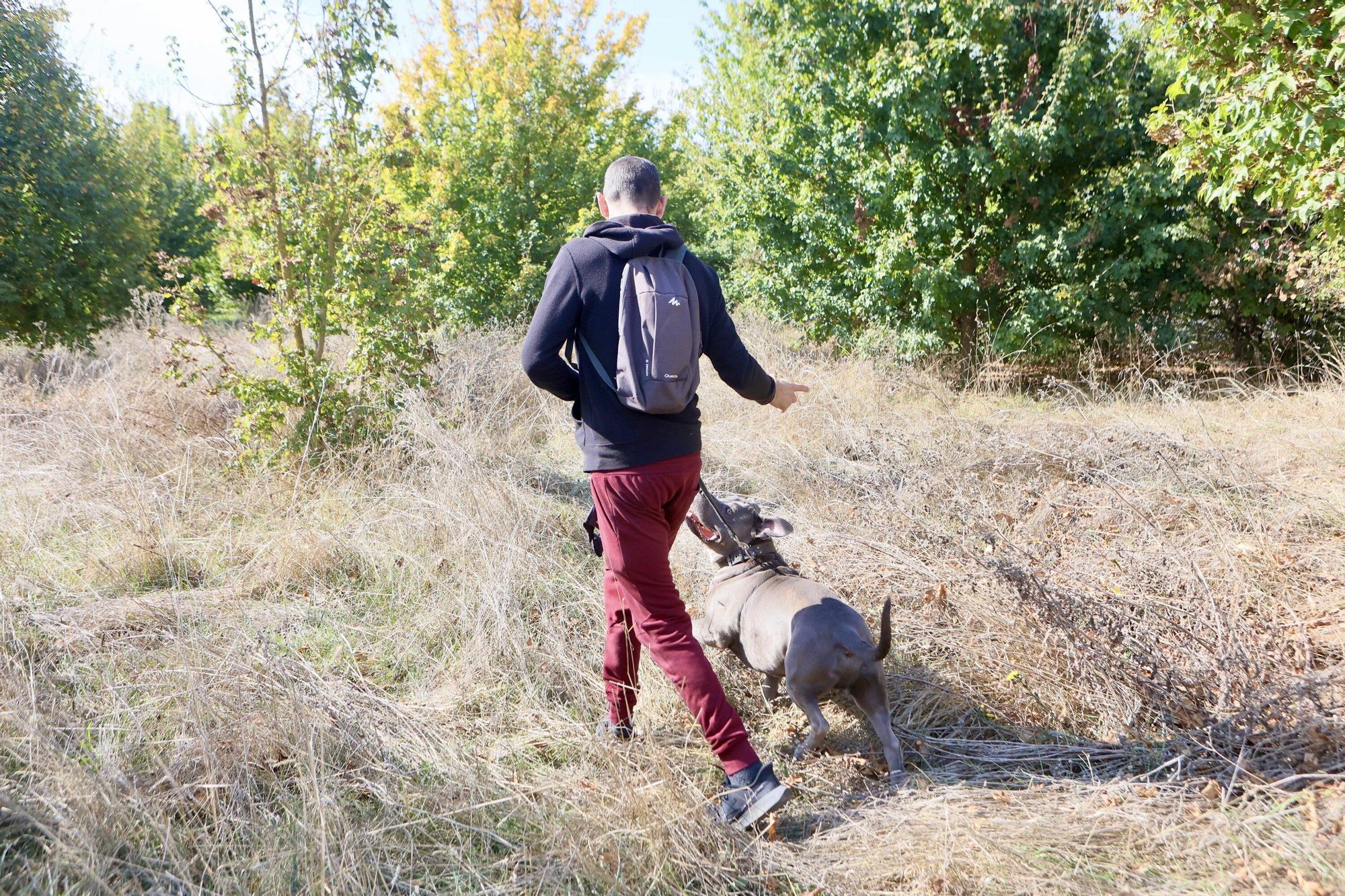 Un hombre se adentra con su perro en una zona verde descuidada.
