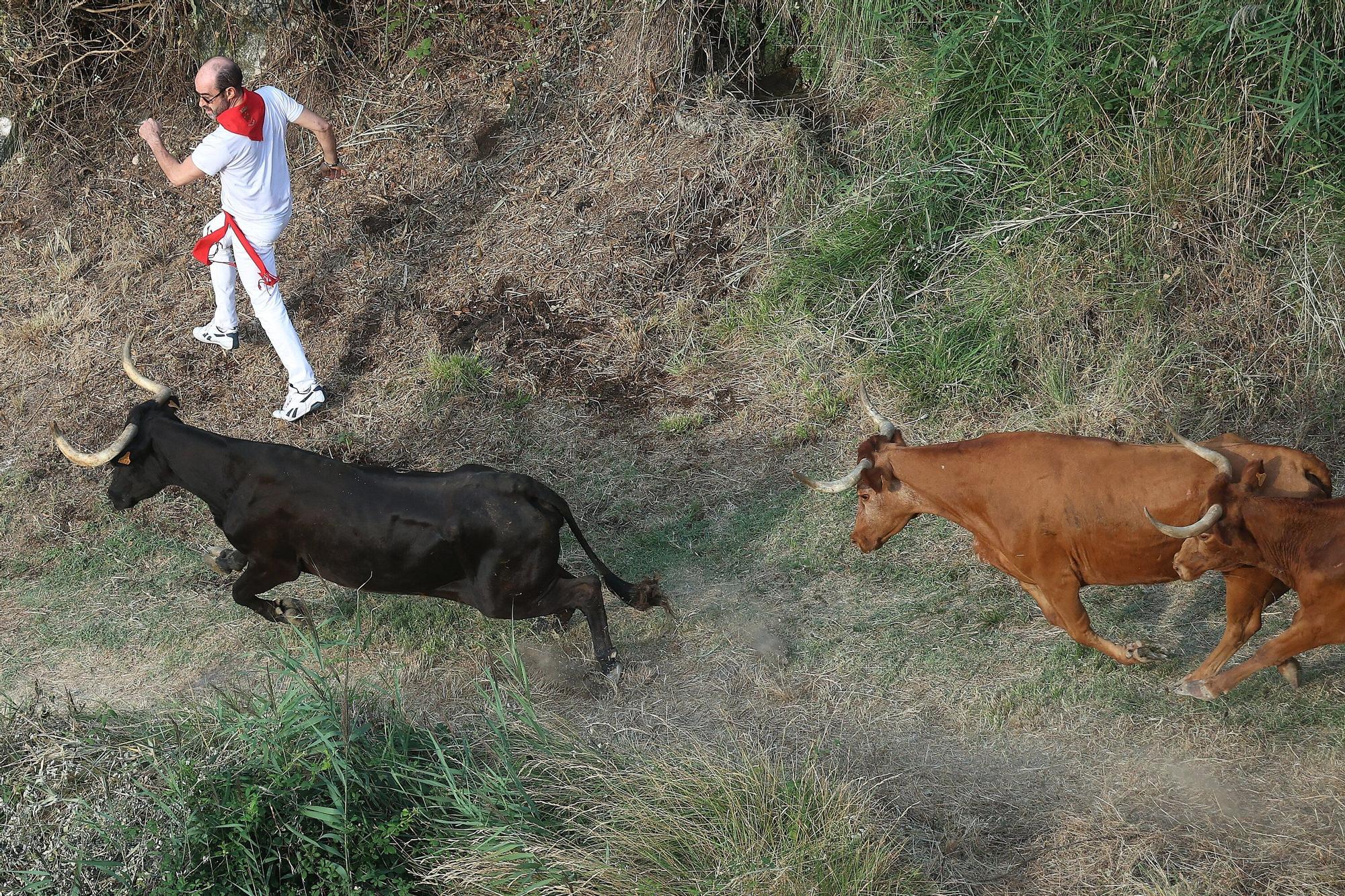 Fotos del segundo encierro del Pilón de Falces 2025