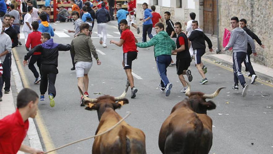 Jóvenes disfrutando de la suelta de vaquillas de la ganadería Hermanos Ganuza en fiestas de Zizur, en 2013.