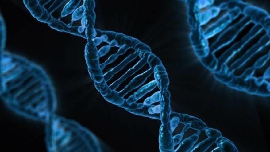 Detectan más de cien genes implicados en el autismo