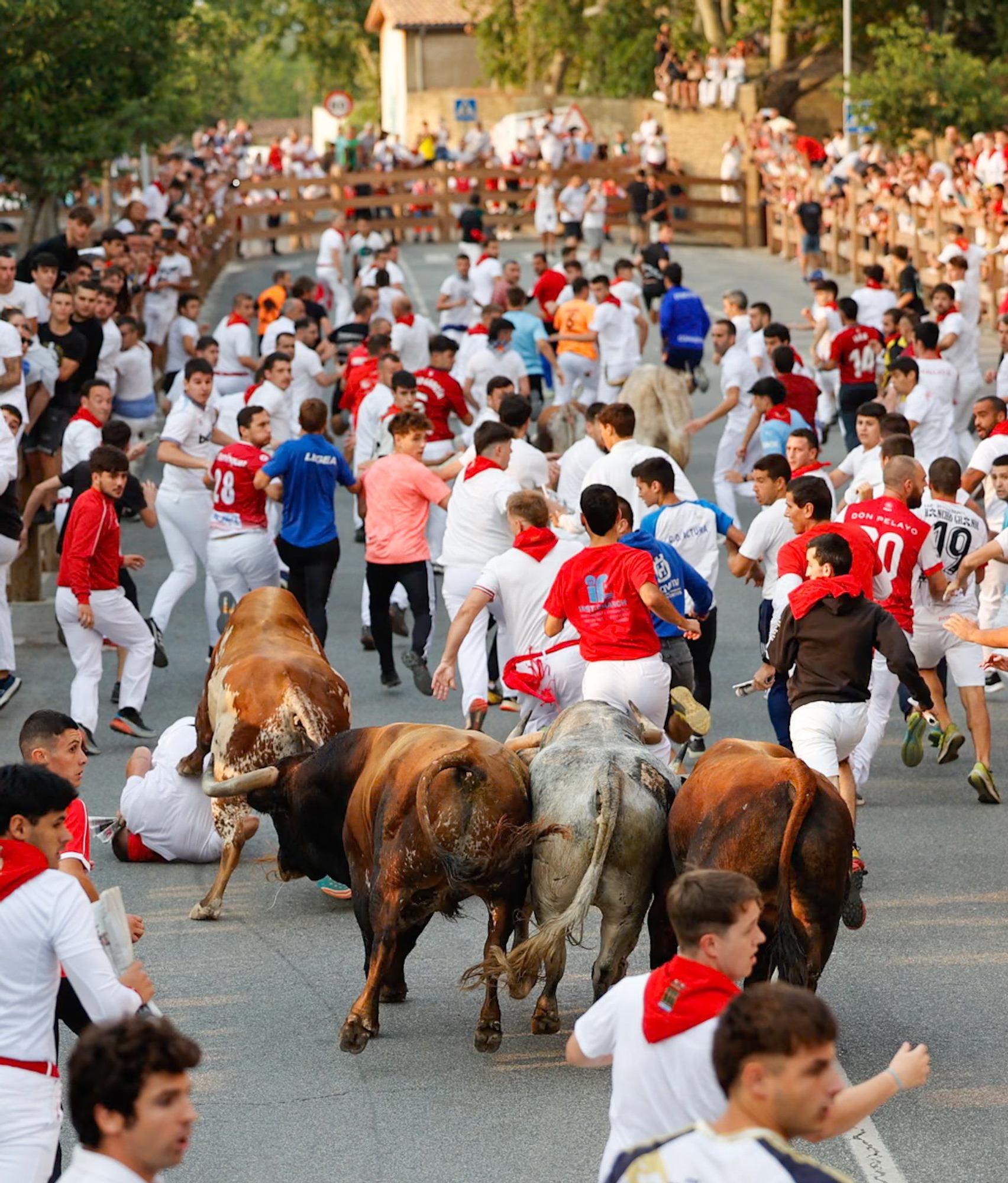 Fotos del tercer encierro de fiestas de Tafalla 2025
