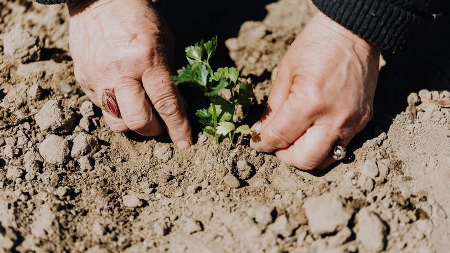 Más de 8.000 agricultores y ganaderos navarros empiezan a cobrar desde hoy 54 millones del primer anticipo de la PAC