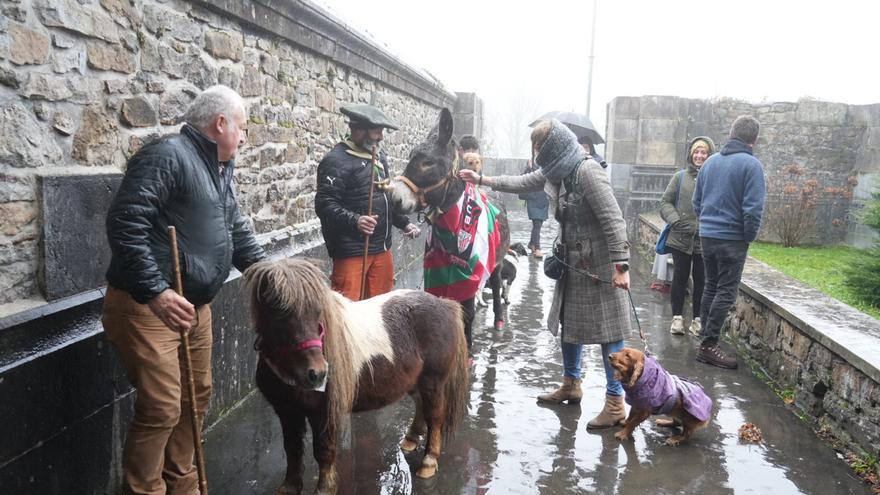 En imágenes: así se ha bendecido a los animales en Urkiola