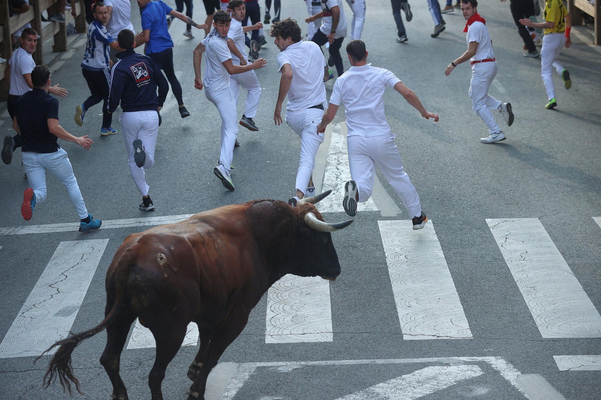 Fotos del quinto encierro de las fiestas de Tafalla 2025