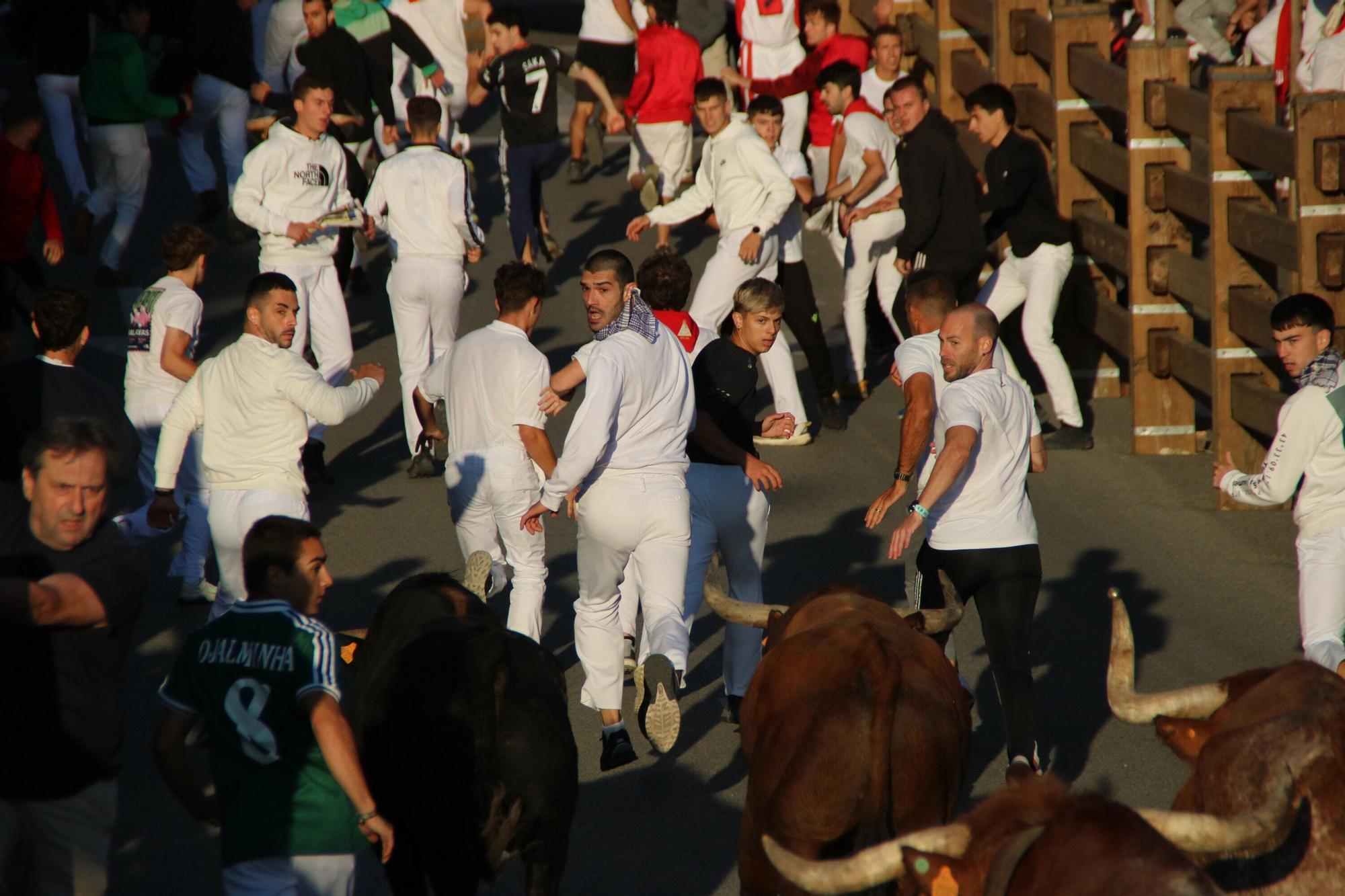 Fotos del quinto encierro de las fiestas de Tudela 2025