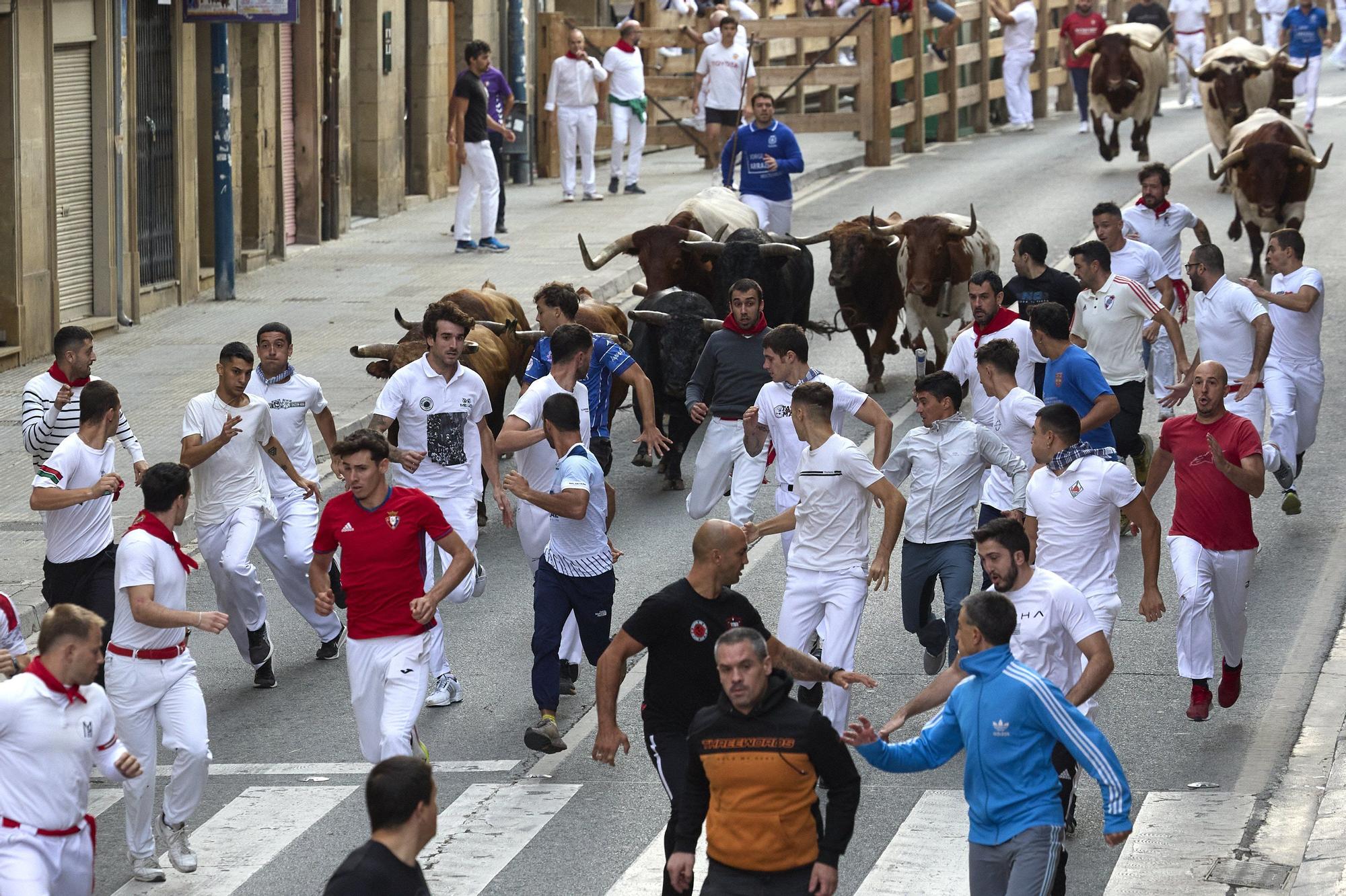Fotos del sexto encierro de las fiestas de Tafalla 2025