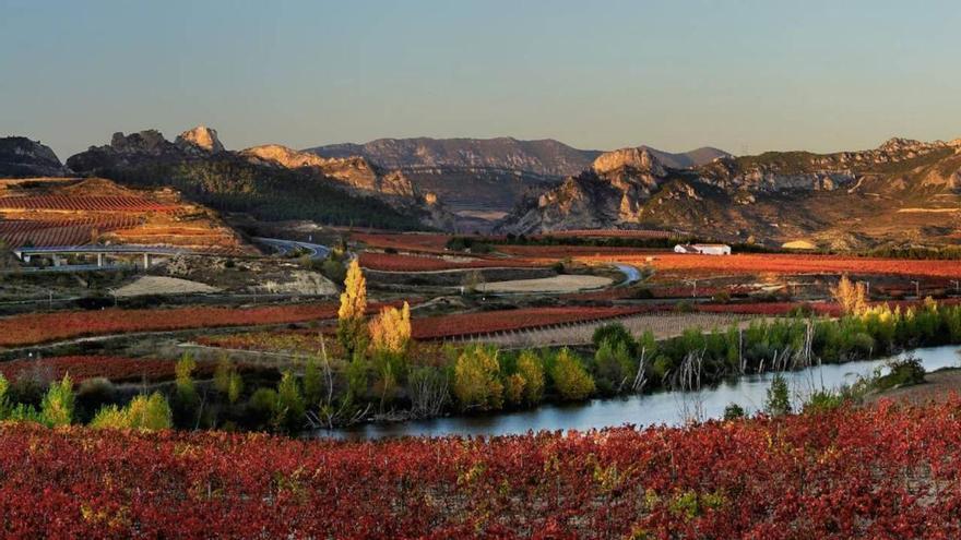 La ciudad medieval &quot;con más bodegas centenarias del mundo&quot; está a una hora de Pamplona, según la revista Viajar