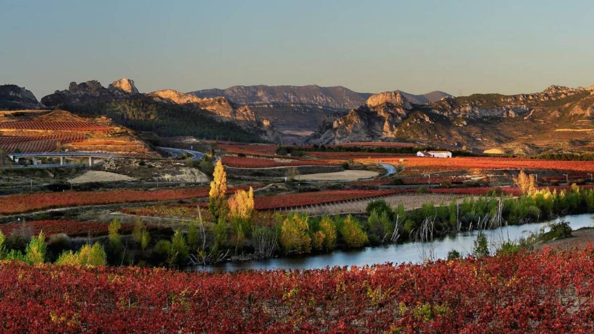 Ciudad medieval &quot;con más bodegas centenarias del mundo&quot;