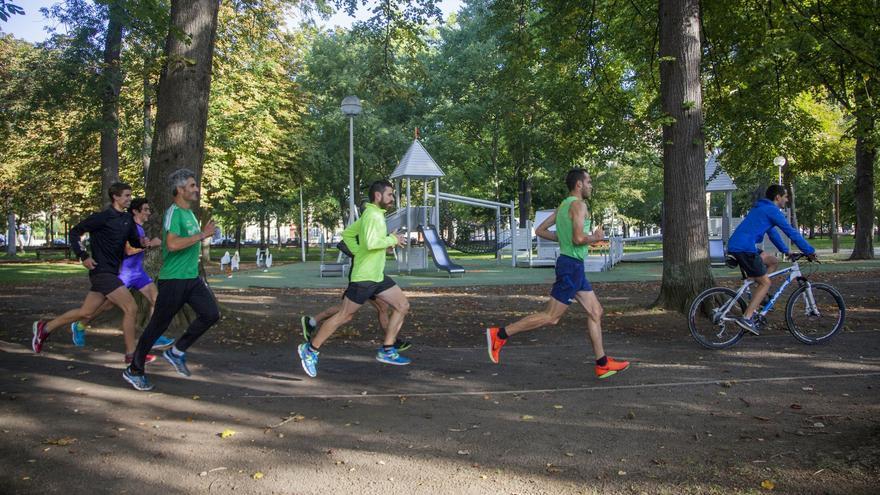 50.000 euros para plantar 44 nuevos árboles y recuperar el suelo de El Prado
