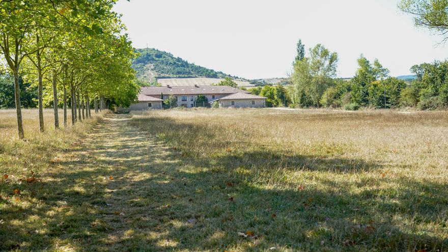 Vitoria siega la maleza del perímetro y alisa la hierba de las campas de Olarizu