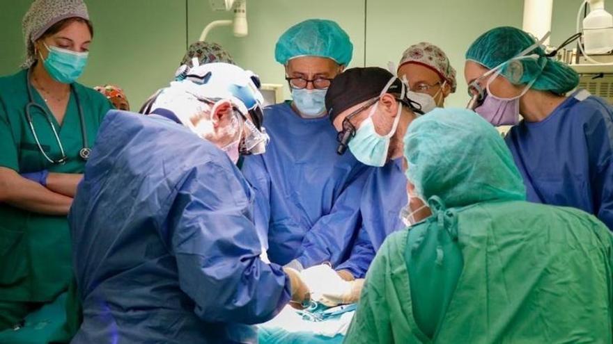 El Hospital La Fe de Valencia implanta un marcapasos sin cables a un neonato