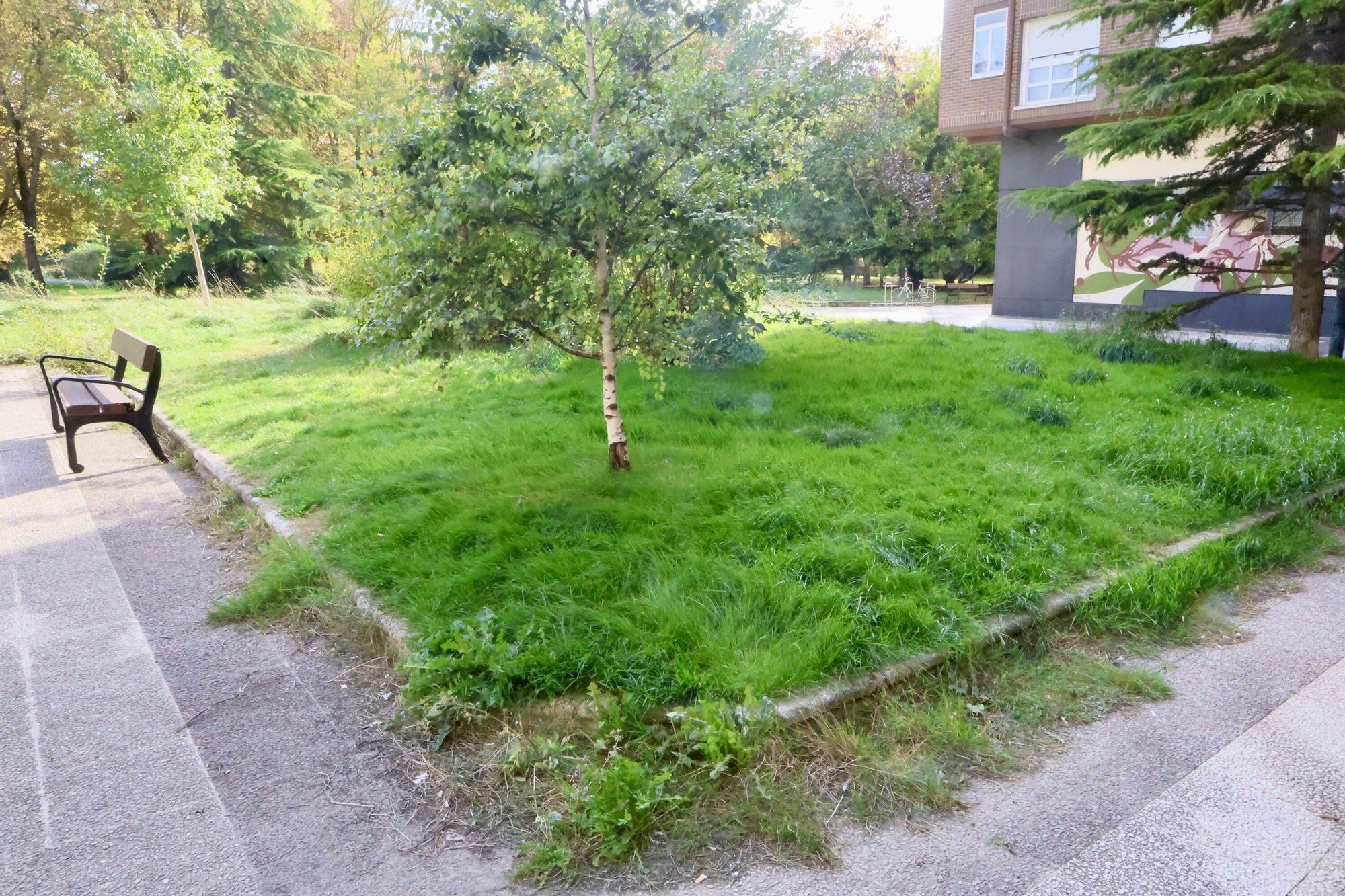 En imágenes: Vitoria-Gasteiz se prepara para adecentar el verde de la ciudad