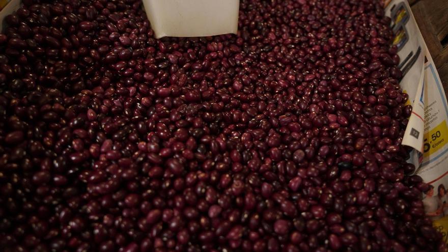 El secreto para preparar las mejores alubias de un restaurante familiar de Gernika
