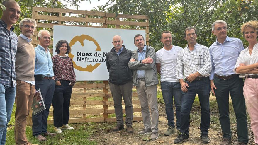 La Nuez de Navarra espera una producción de 200 toneladas de excelente calidad