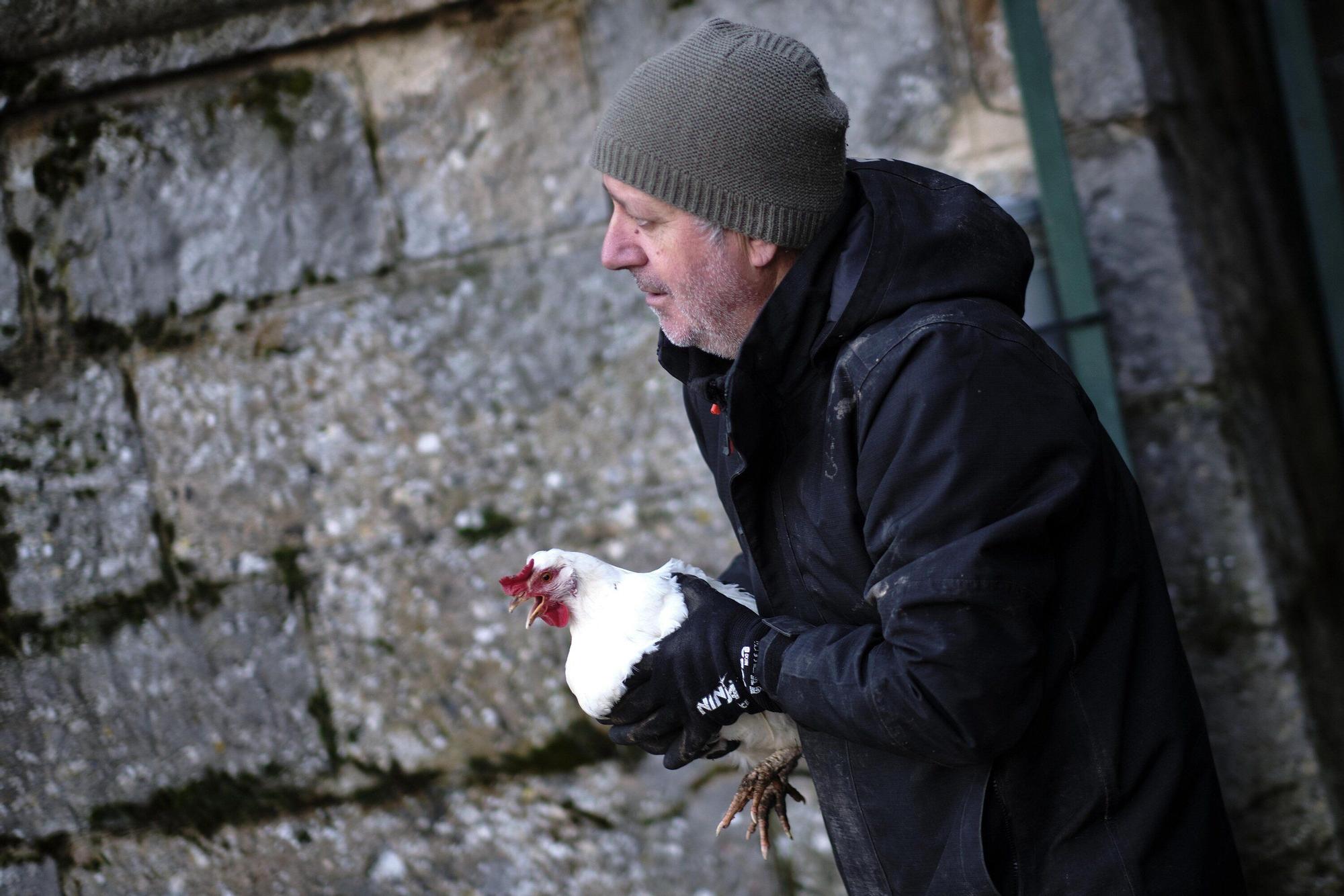 Las medidas contra la gripe aviar en la Taconera de Pamplona