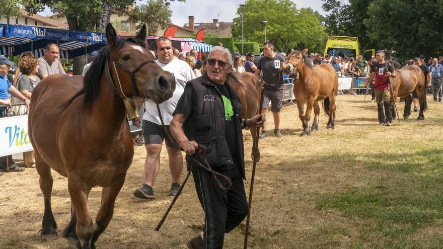 En imágenes: Zigoitia acoge la XXIX edición de la Feria del caballo de Gorbeialdea