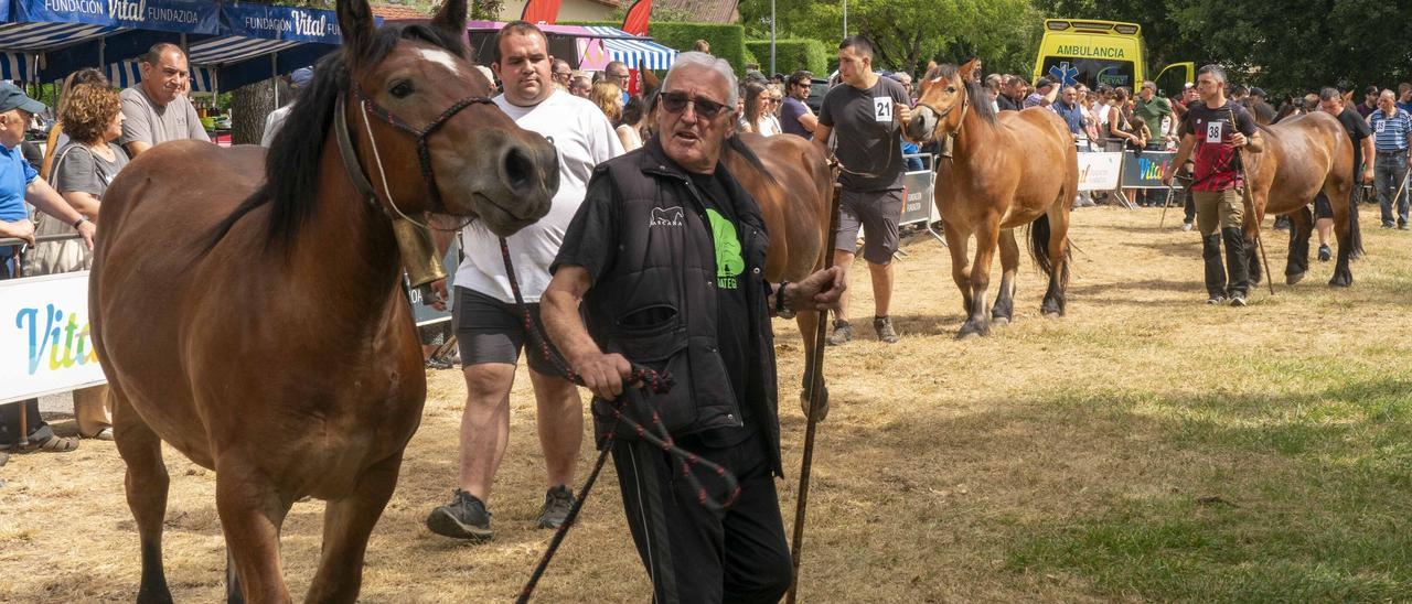 En imágenes: Zigoitia acoge la XXIX edición de la Feria del caballo de Gorbeialdea