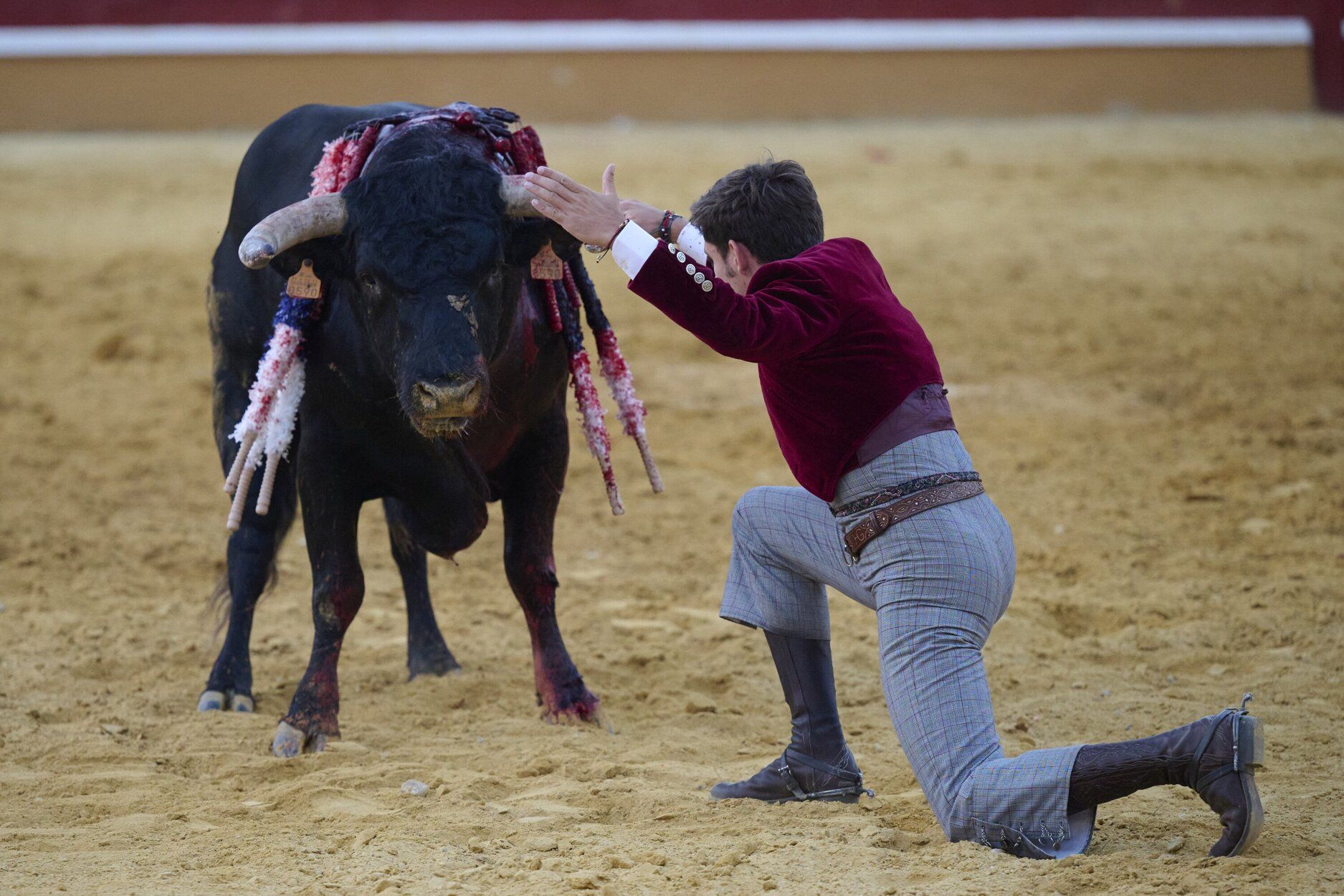 Fotos de la corrida de rejones de este domingo en fiestas de Tudela