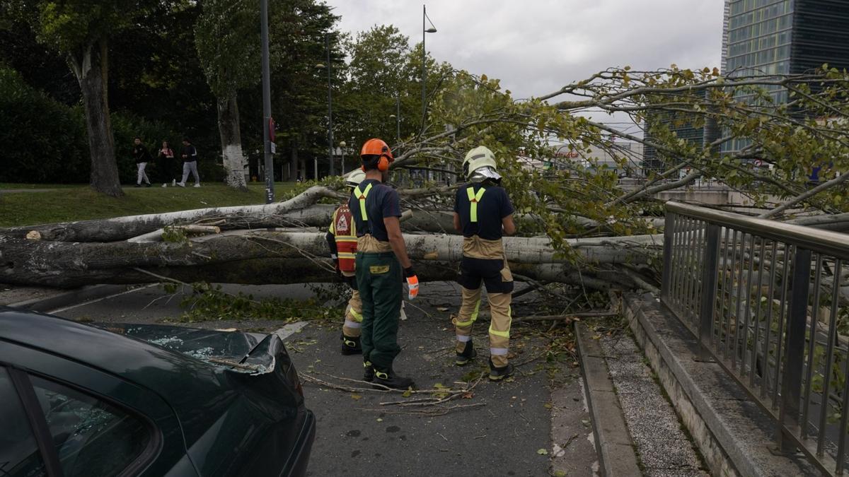 El viento obliga a cerrar parques y extremar las precauciones en Vitoria